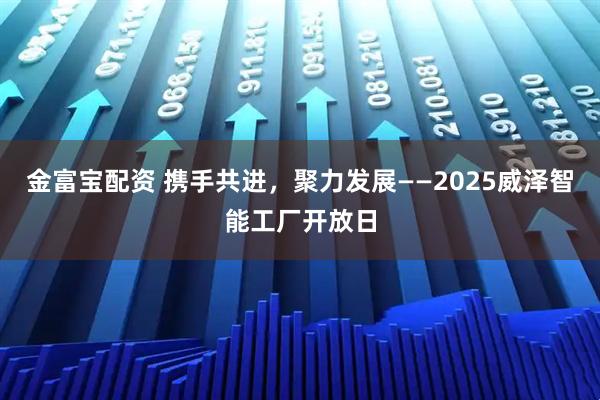 金富宝配资 携手共进，聚力发展——2025威泽智能工厂开放日