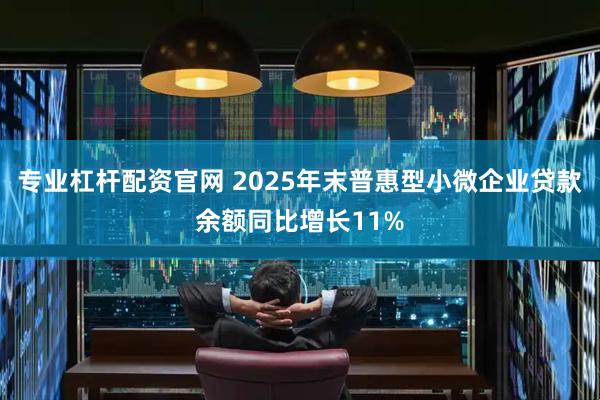 专业杠杆配资官网 2025年末普惠型小微企业贷款余额同比增长11%