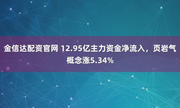 金信达配资官网 12.95亿主力资金净流入，页岩气概念涨5.34%